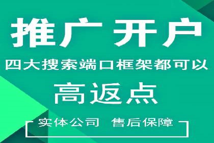 电商平台信息流广告的投放策略与效果评估案例